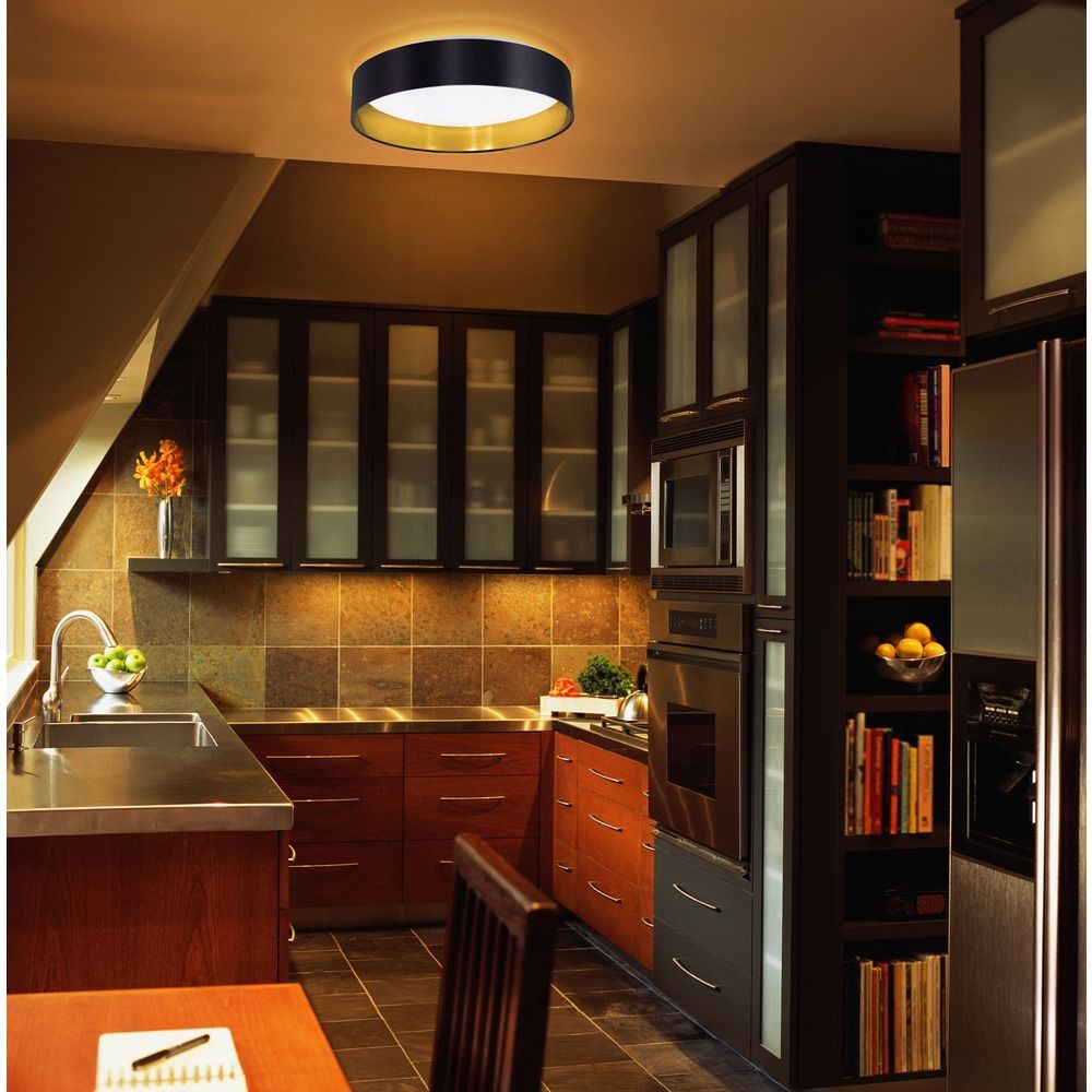 Modern Indoor Ceiling Light